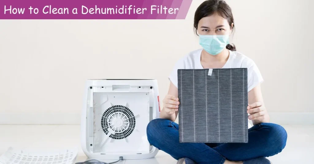 How to Clean a Dehumidifier Filter