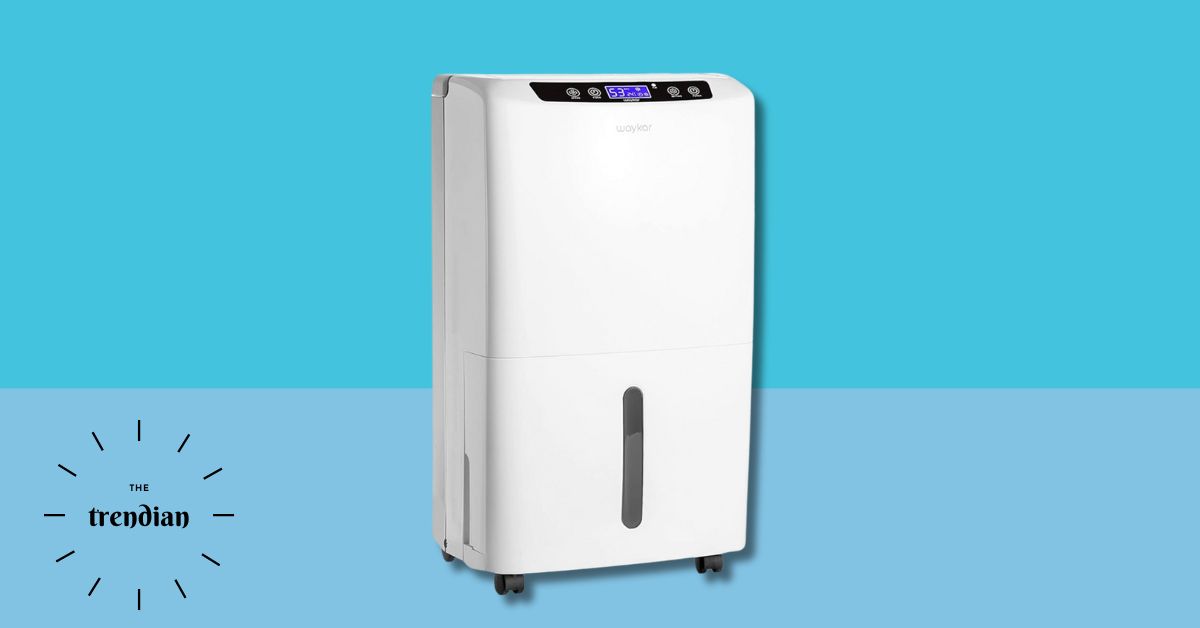 How to Use a Dehumidifier