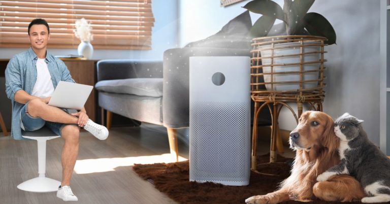 Where is the Best Place to Put an Air Purifier